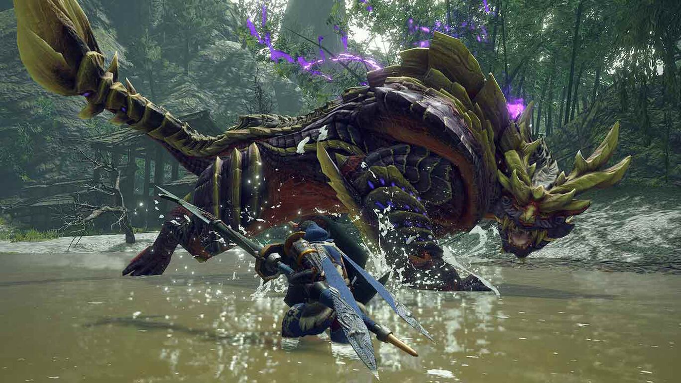 怪物猎人：崛起/monster hunter rise