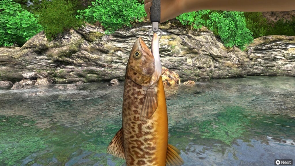 switch《神眼钓手：夏日/户外钓鱼 夏日时光 Reel Fishing Days of Summer》中文版XCI下载